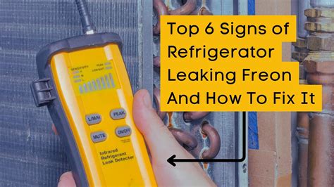 How To Know If Your Refrigerator Is Leaking Freon